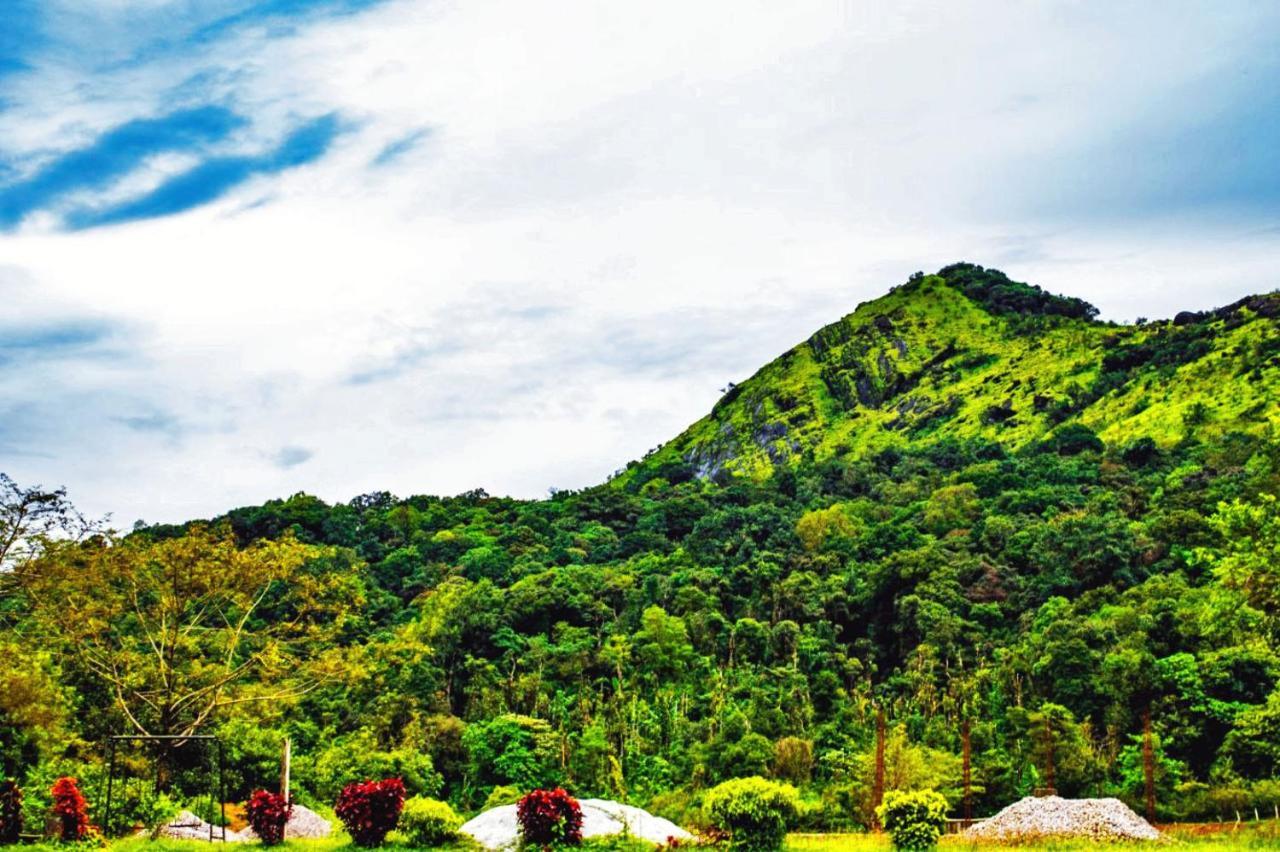 Staymaker Kasargali Homestay Sakleshpur Luaran gambar